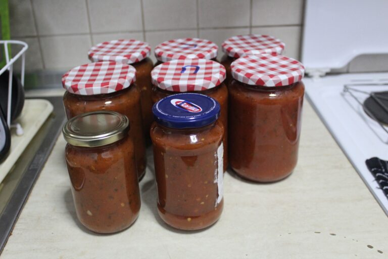 Σάλτσα Ντομάτας (Διάφορες)